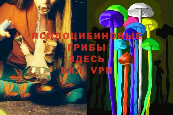 крисы Осташков