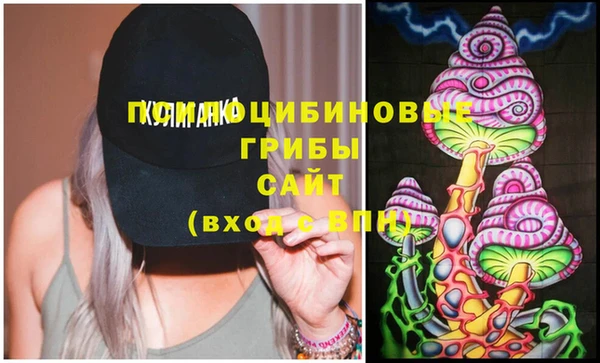 apvp Няндома