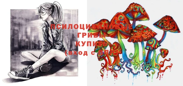 дурь Дрезна