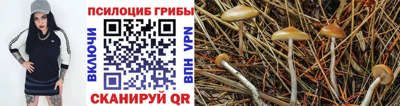 Галлюциногенные грибы Psilocybe  гидра зеркало  Пыть-Ях  где продают наркотики 